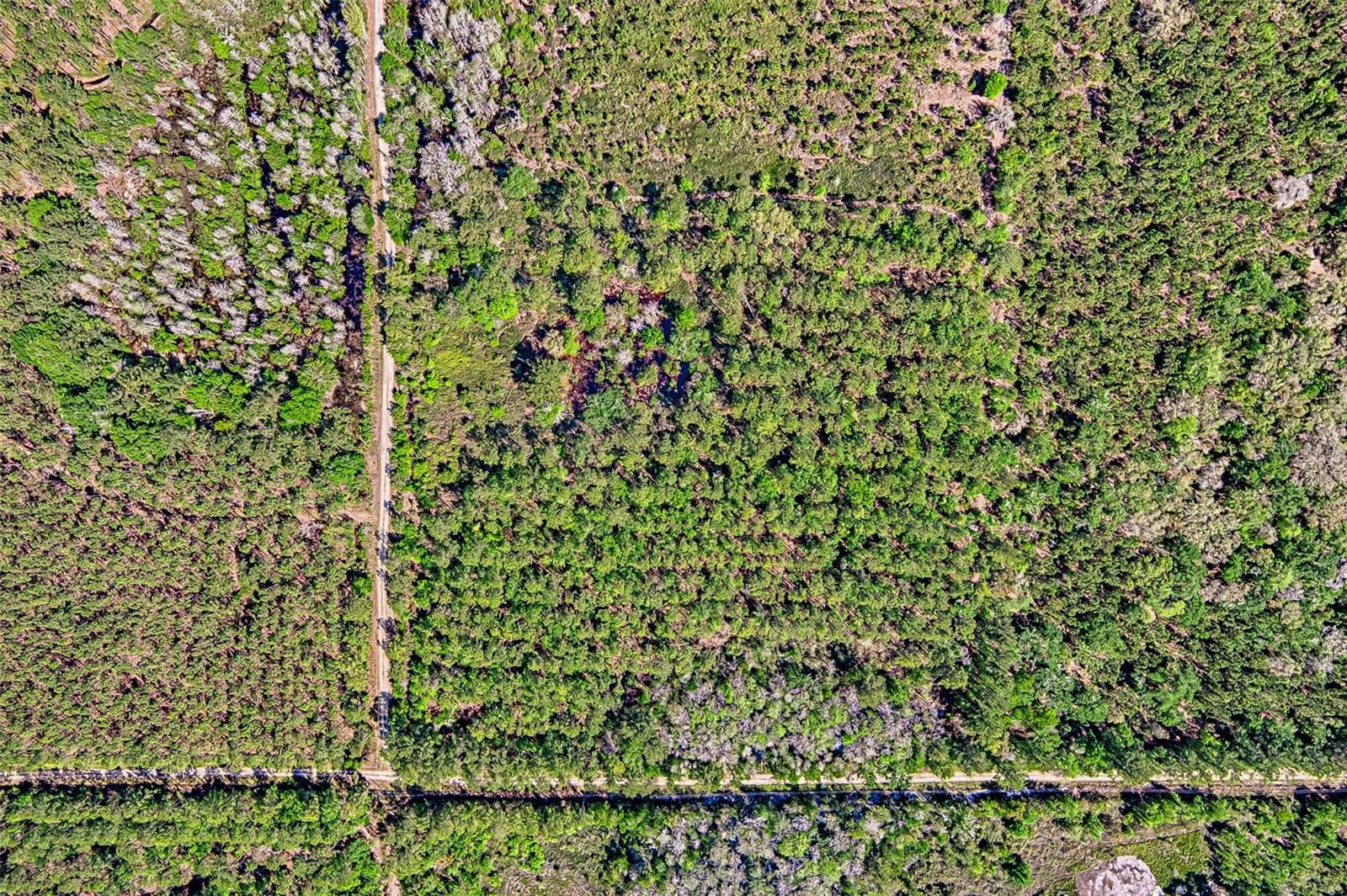 NW 290TH AVE, ALACHUA, FL, 32615