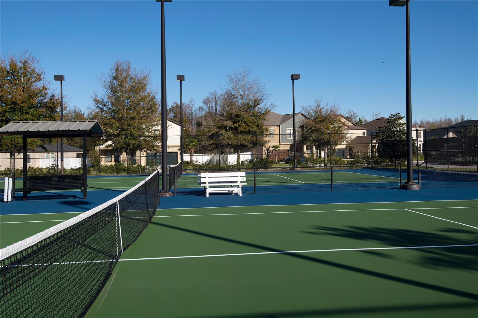 7730 PAINTED SKY PL, LAND O LAKES, FL, 34637