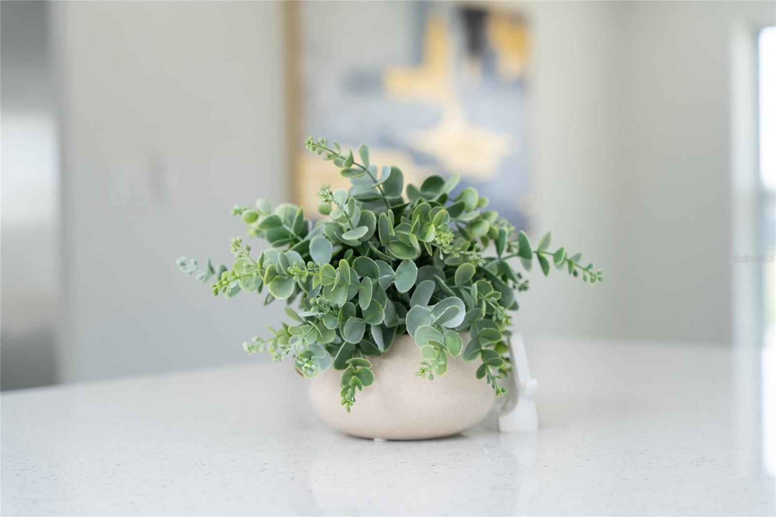 520 BAYWOOD DR S, DUNEDIN, FL, 34698