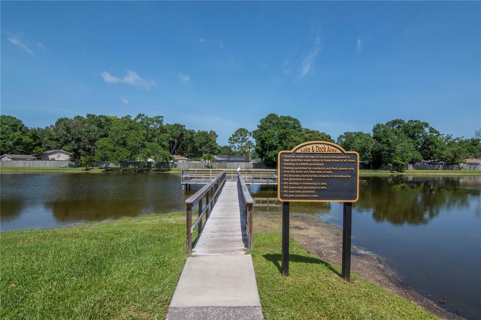 3810 N OAK DR #N61, TAMPA, FL, 33611