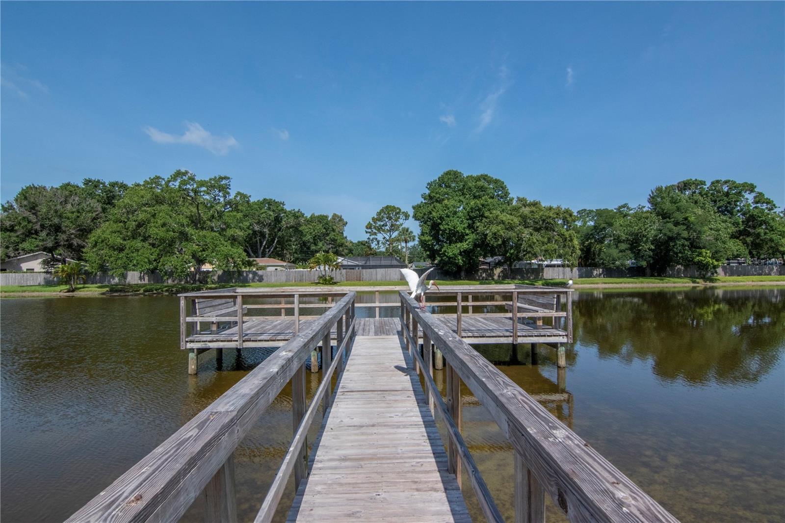 3810 N OAK DR #N61, TAMPA, FL, 33611