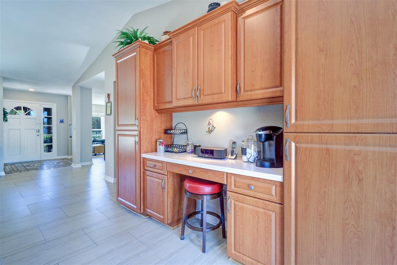 16247 FRINGE TREE DR, SPRING HILL, FL, 34610