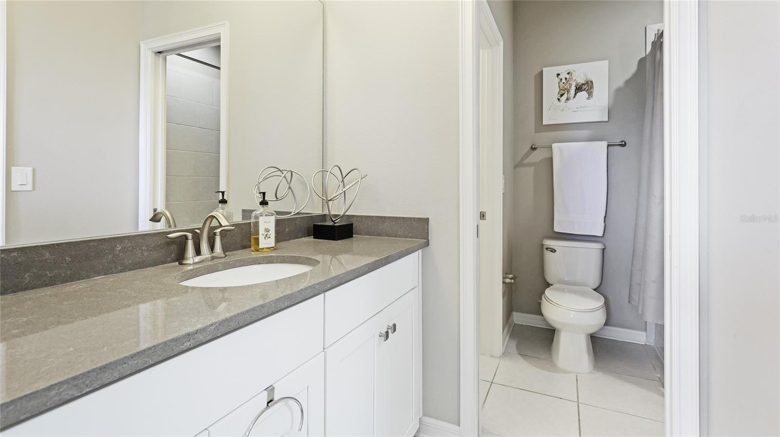 6111 HORSE MILL PL, PALMETTO, FL, 34221