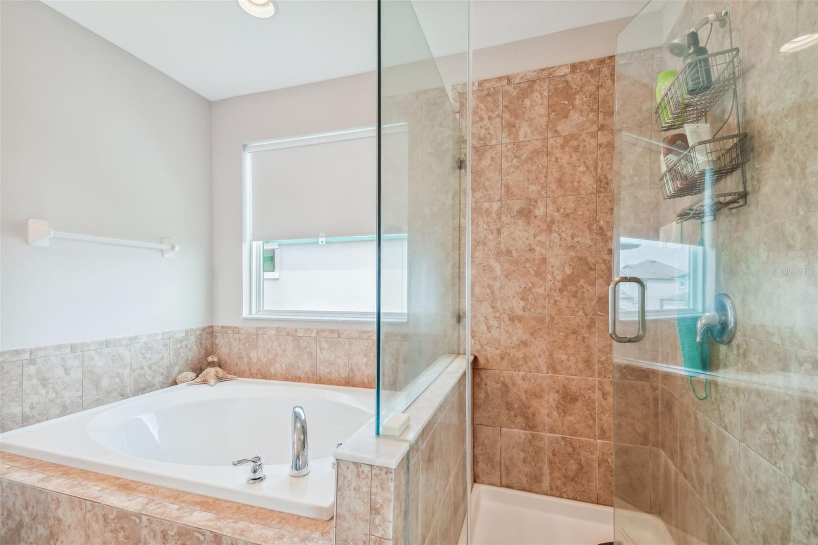 12278 TIBBETTS ST, ODESSA, FL, 33556