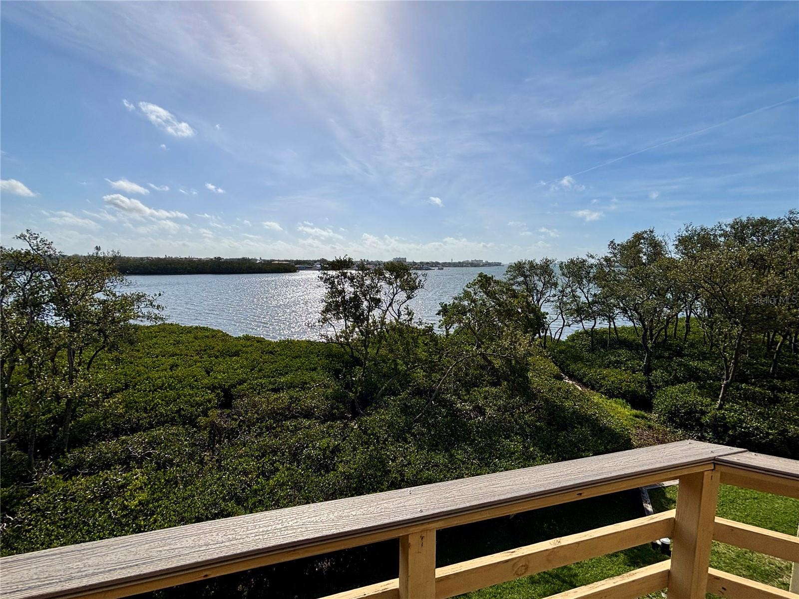 1720 LIGHTHOUSE TER S #8, SOUTH PASADENA, FL, 33707