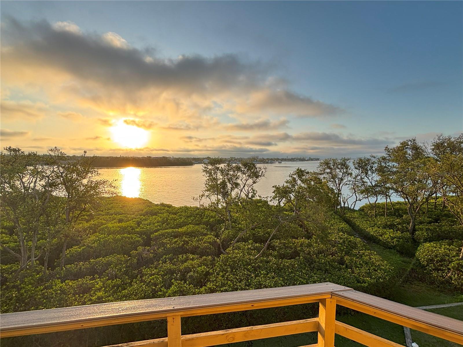 1720 LIGHTHOUSE TER S #8, SOUTH PASADENA, FL, 33707