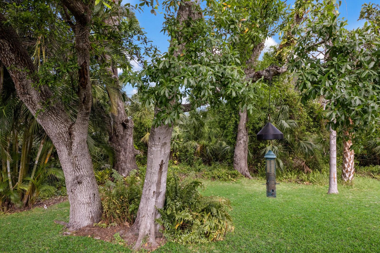 4211 73RD TER E, SARASOTA, FL, 34243