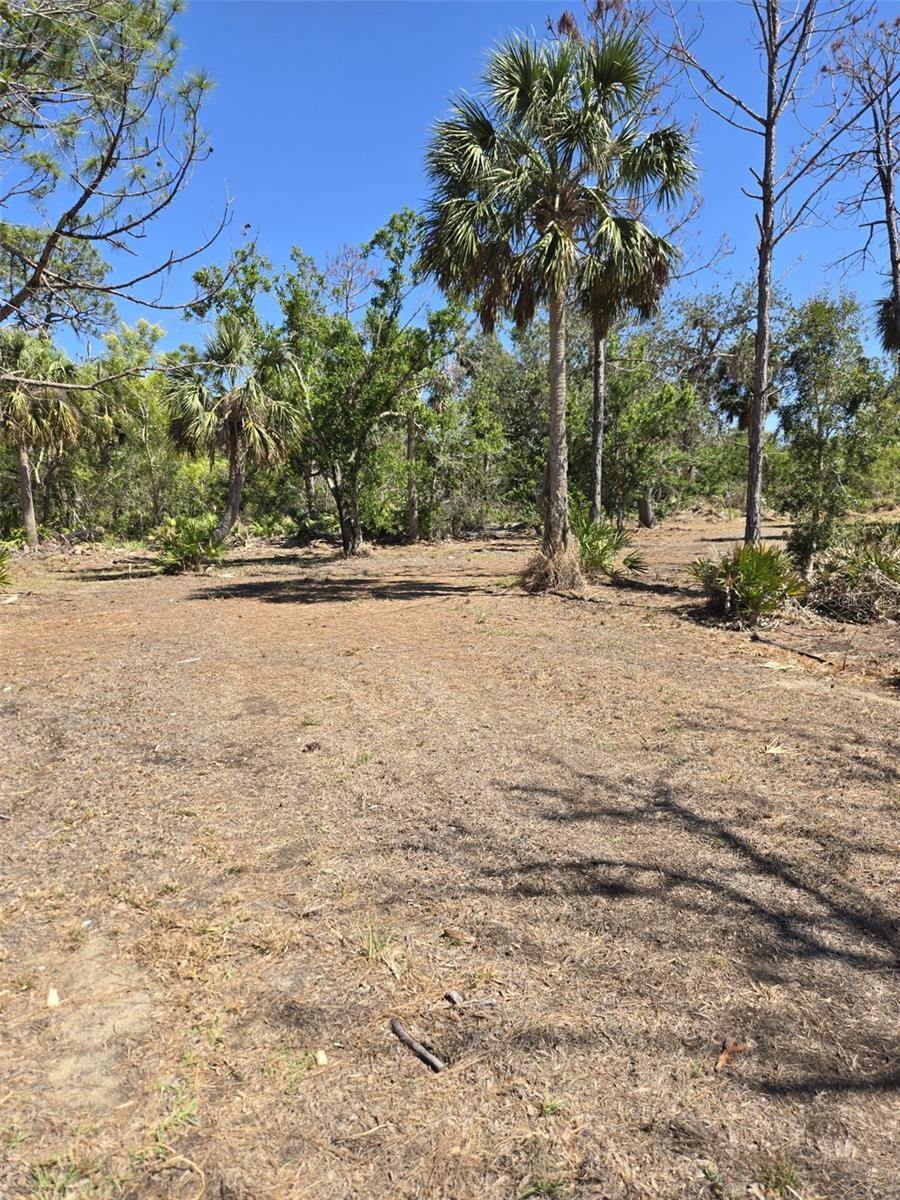 24383 JEAN LA FITTE BLVD, PUNTA GORDA, FL, 33955