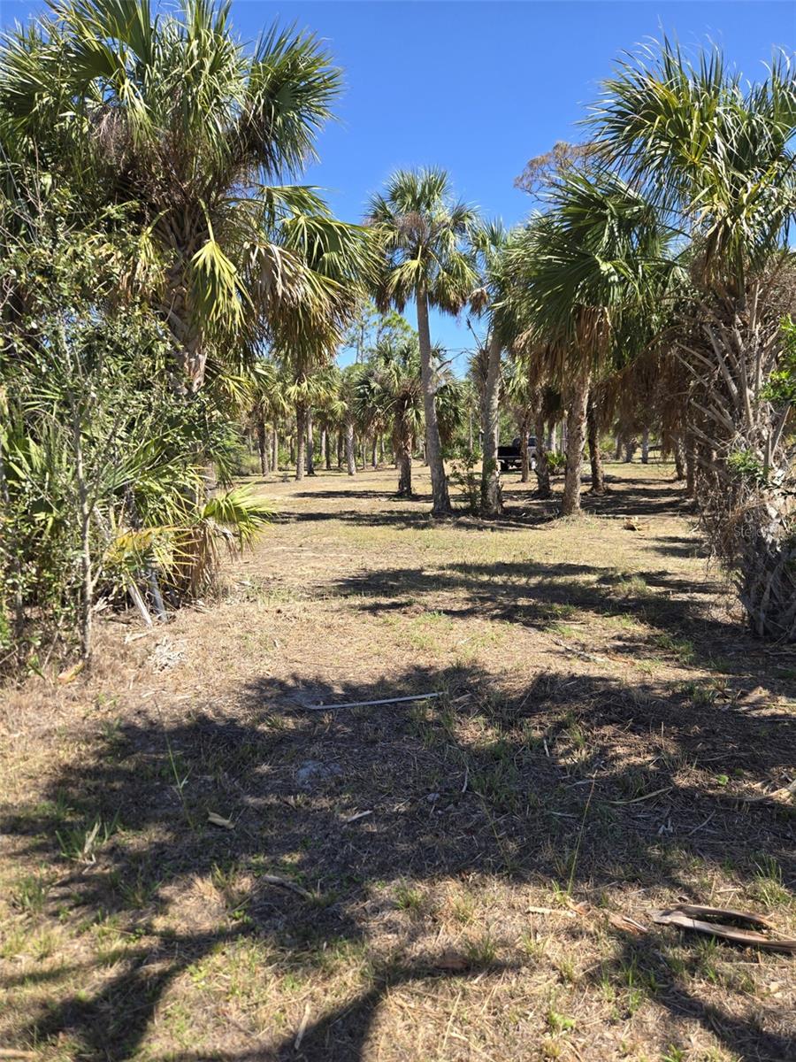 24383 JEAN LA FITTE BLVD, PUNTA GORDA, FL, 33955