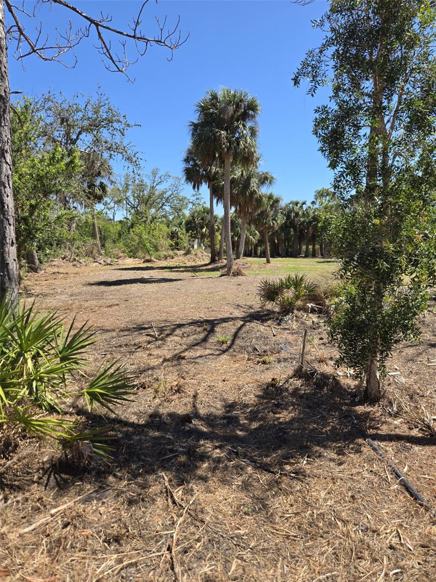 24383 JEAN LA FITTE BLVD, PUNTA GORDA, FL, 33955