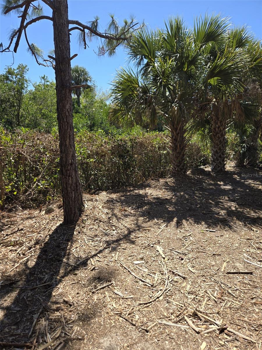 24383 JEAN LA FITTE BLVD, PUNTA GORDA, FL, 33955