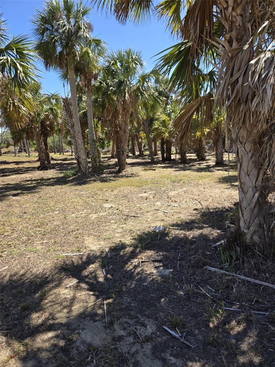 24383 JEAN LA FITTE BLVD, PUNTA GORDA, FL, 33955