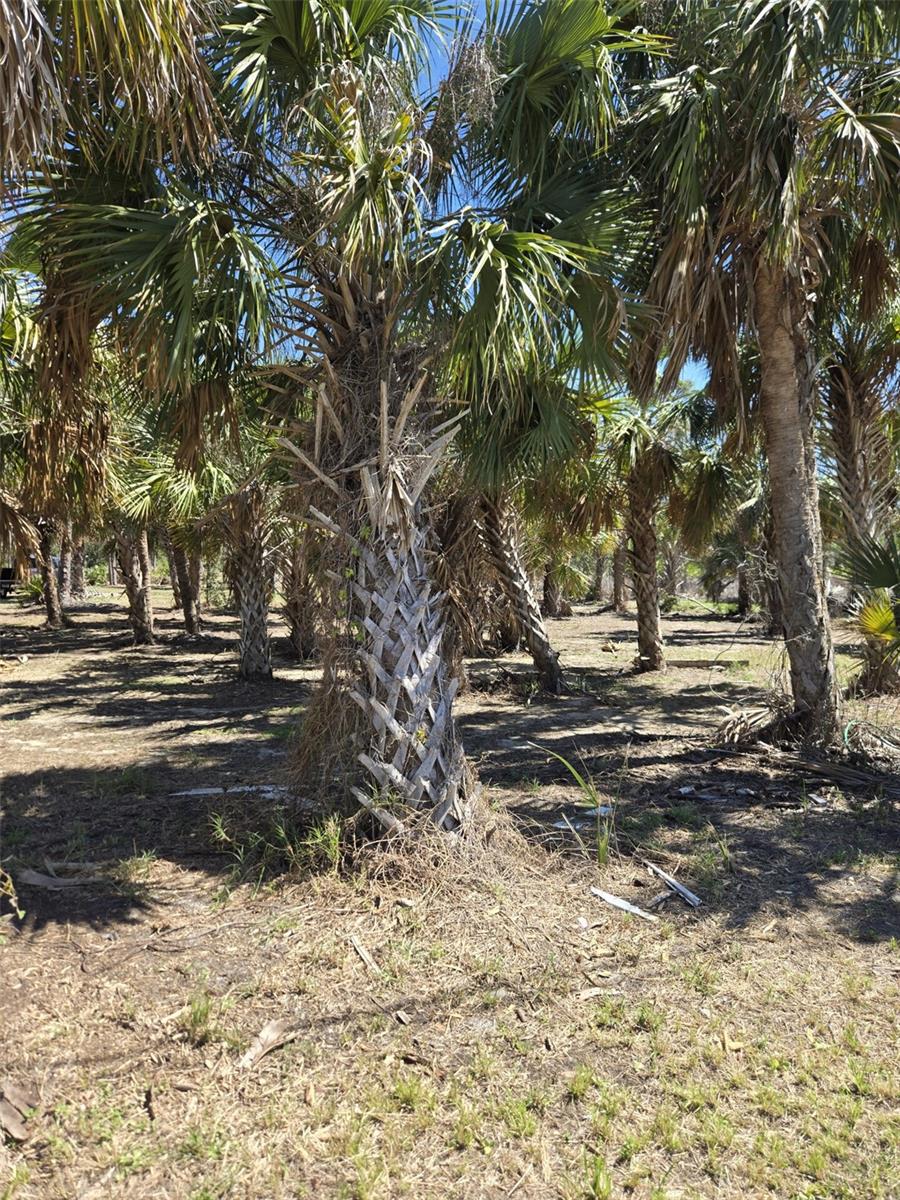 24383 JEAN LA FITTE BLVD, PUNTA GORDA, FL, 33955