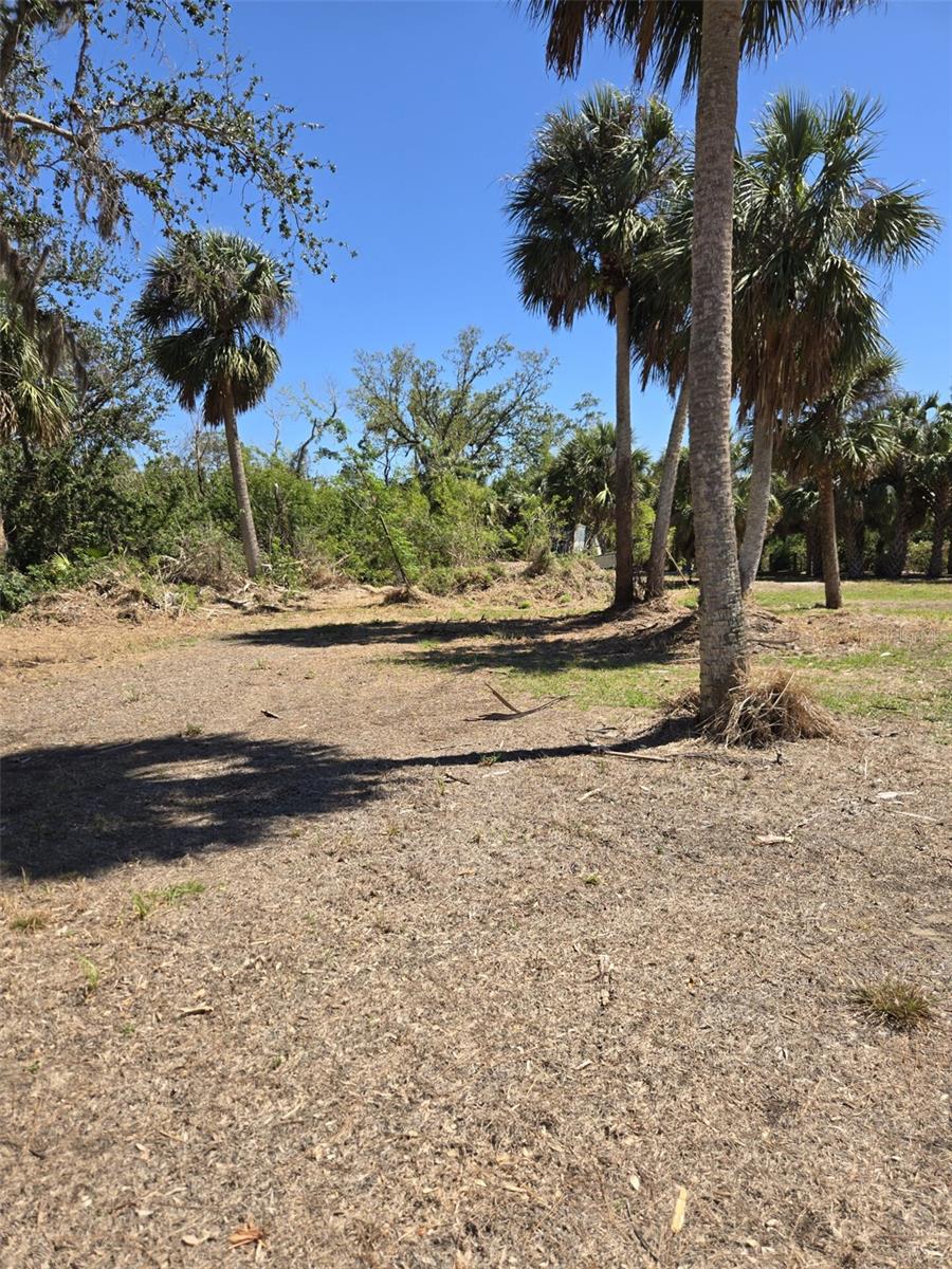 24383 JEAN LA FITTE BLVD, PUNTA GORDA, FL, 33955