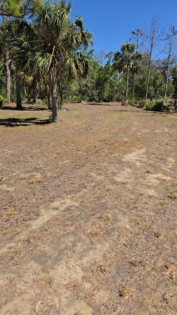 24383 JEAN LA FITTE BLVD, PUNTA GORDA, FL, 33955