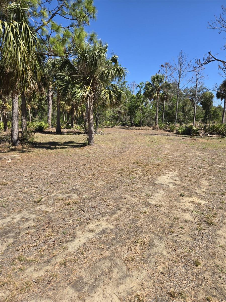 24383 JEAN LA FITTE BLVD, PUNTA GORDA, FL, 33955