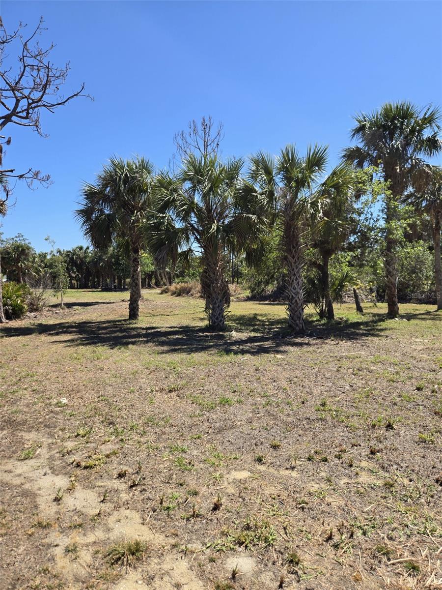 24383 JEAN LA FITTE BLVD, PUNTA GORDA, FL, 33955