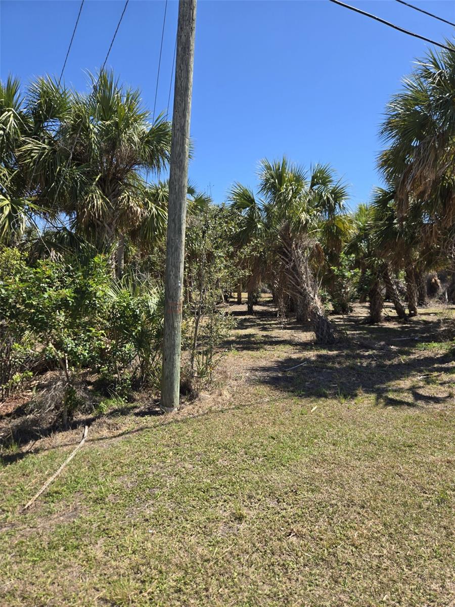 24383 JEAN LA FITTE BLVD, PUNTA GORDA, FL, 33955