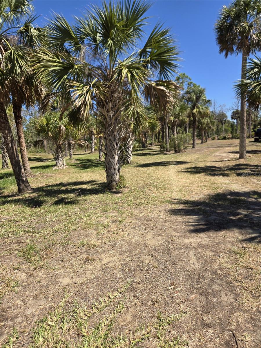 24383 JEAN LA FITTE BLVD, PUNTA GORDA, FL, 33955