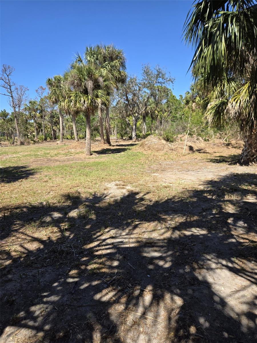 24383 JEAN LA FITTE BLVD, PUNTA GORDA, FL, 33955