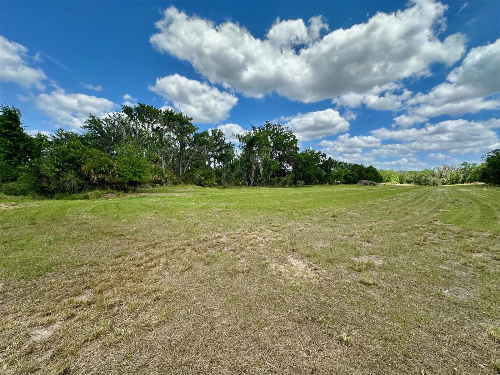 117 ALAFIA ESTATES LN, PLANT CITY, FL, 33567