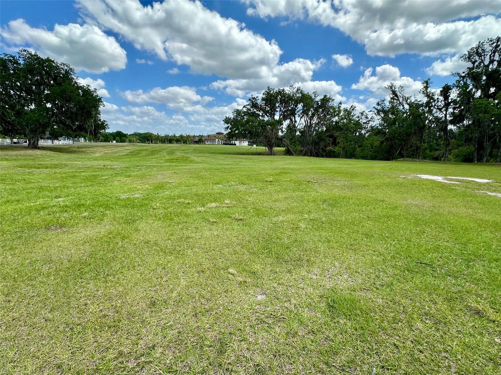 117 ALAFIA ESTATES LN, PLANT CITY, FL, 33567