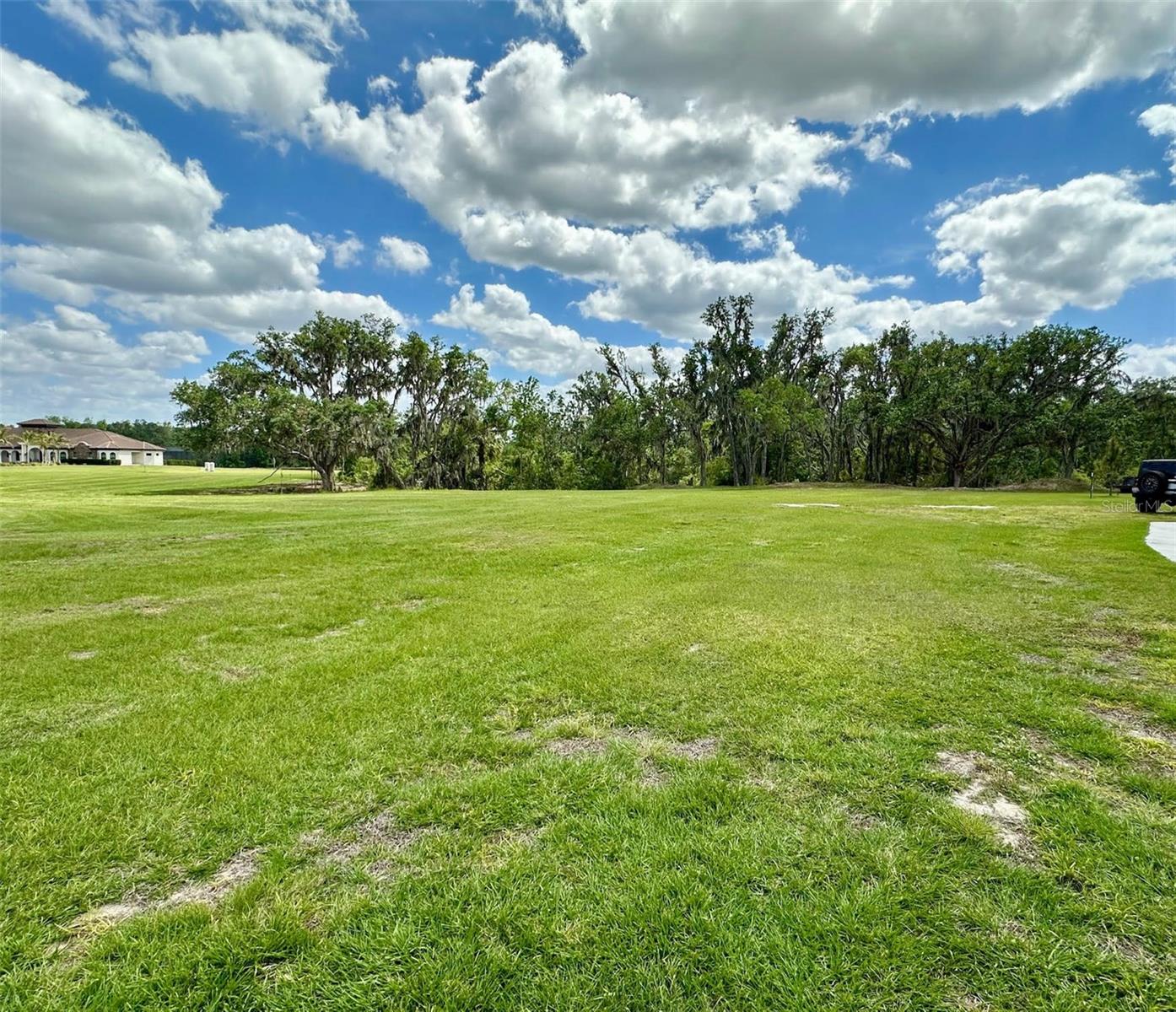 117 ALAFIA ESTATES LN, PLANT CITY, FL, 33567