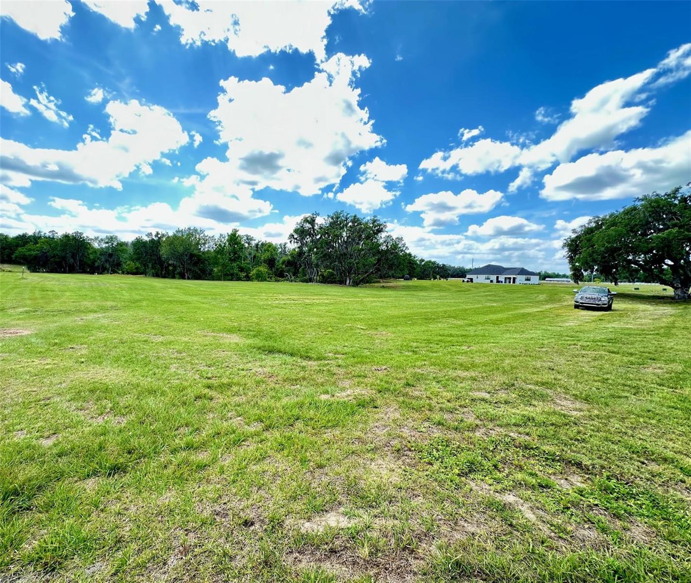 117 ALAFIA ESTATES LN, PLANT CITY, FL, 33567