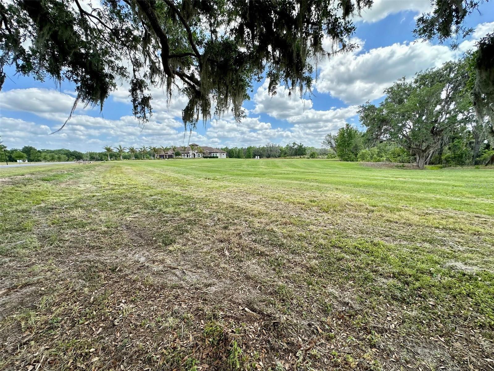 117 ALAFIA ESTATES LN, PLANT CITY, FL, 33567