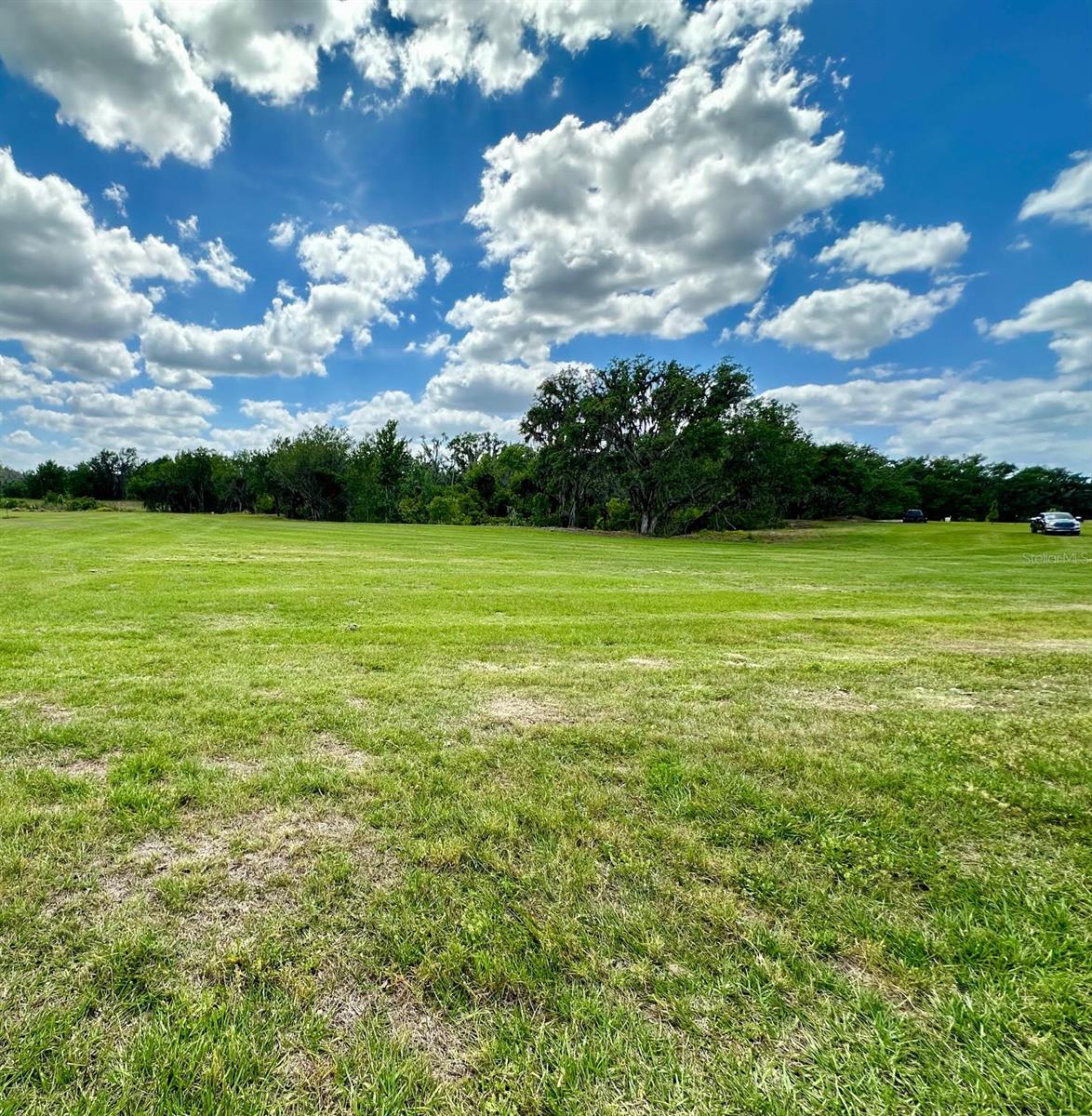 117 ALAFIA ESTATES LN, PLANT CITY, FL, 33567