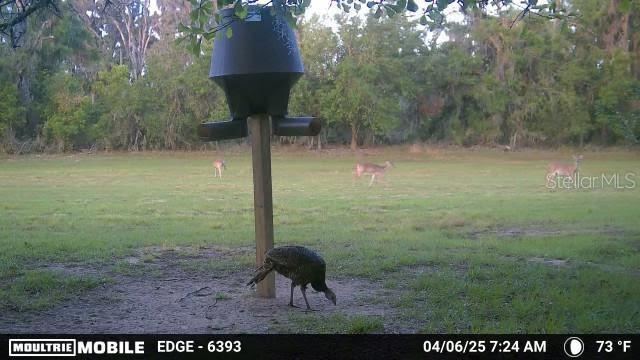 117 ALAFIA ESTATES LN, PLANT CITY, FL, 33567