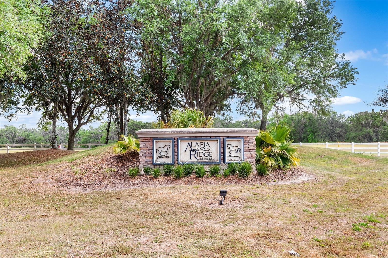 117 ALAFIA ESTATES LN, PLANT CITY, FL, 33567