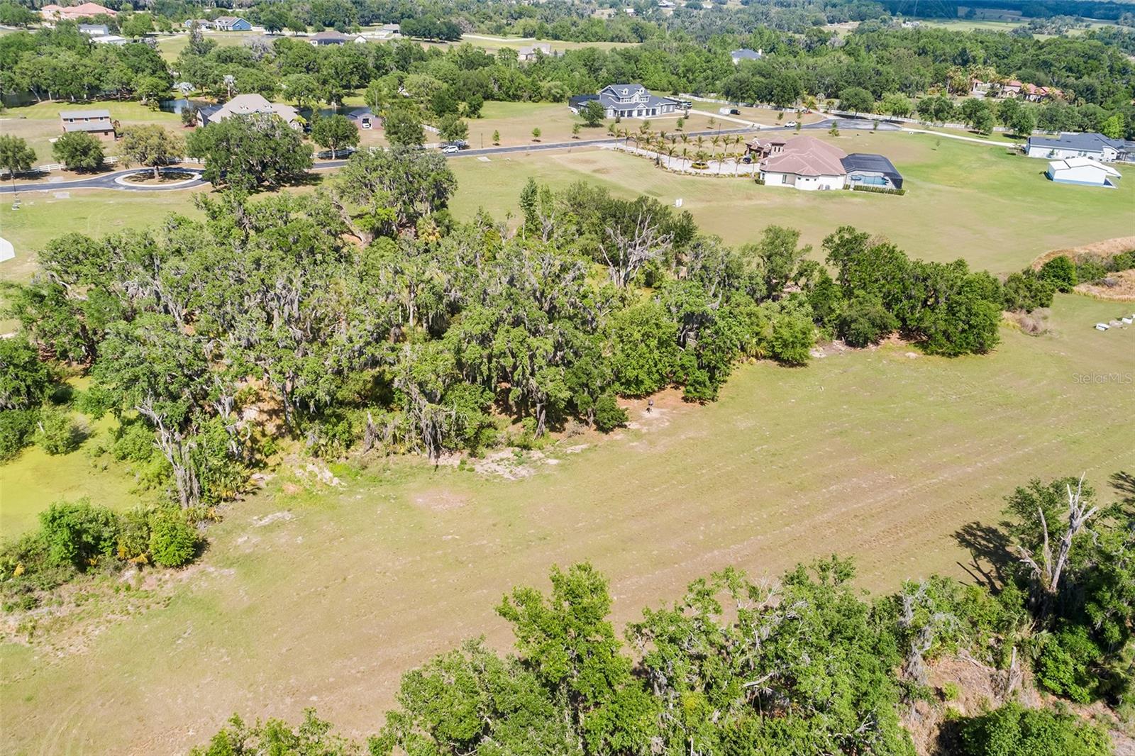 117 ALAFIA ESTATES LN, PLANT CITY, FL, 33567