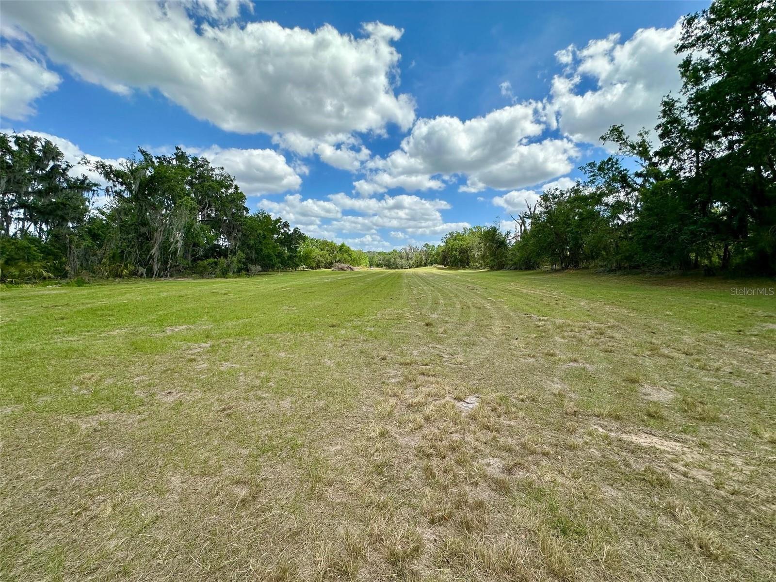 117 ALAFIA ESTATES LN, PLANT CITY, FL, 33567