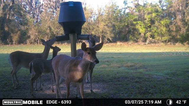 117 ALAFIA ESTATES LN, PLANT CITY, FL, 33567