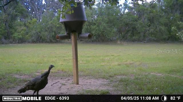 117 ALAFIA ESTATES LN, PLANT CITY, FL, 33567