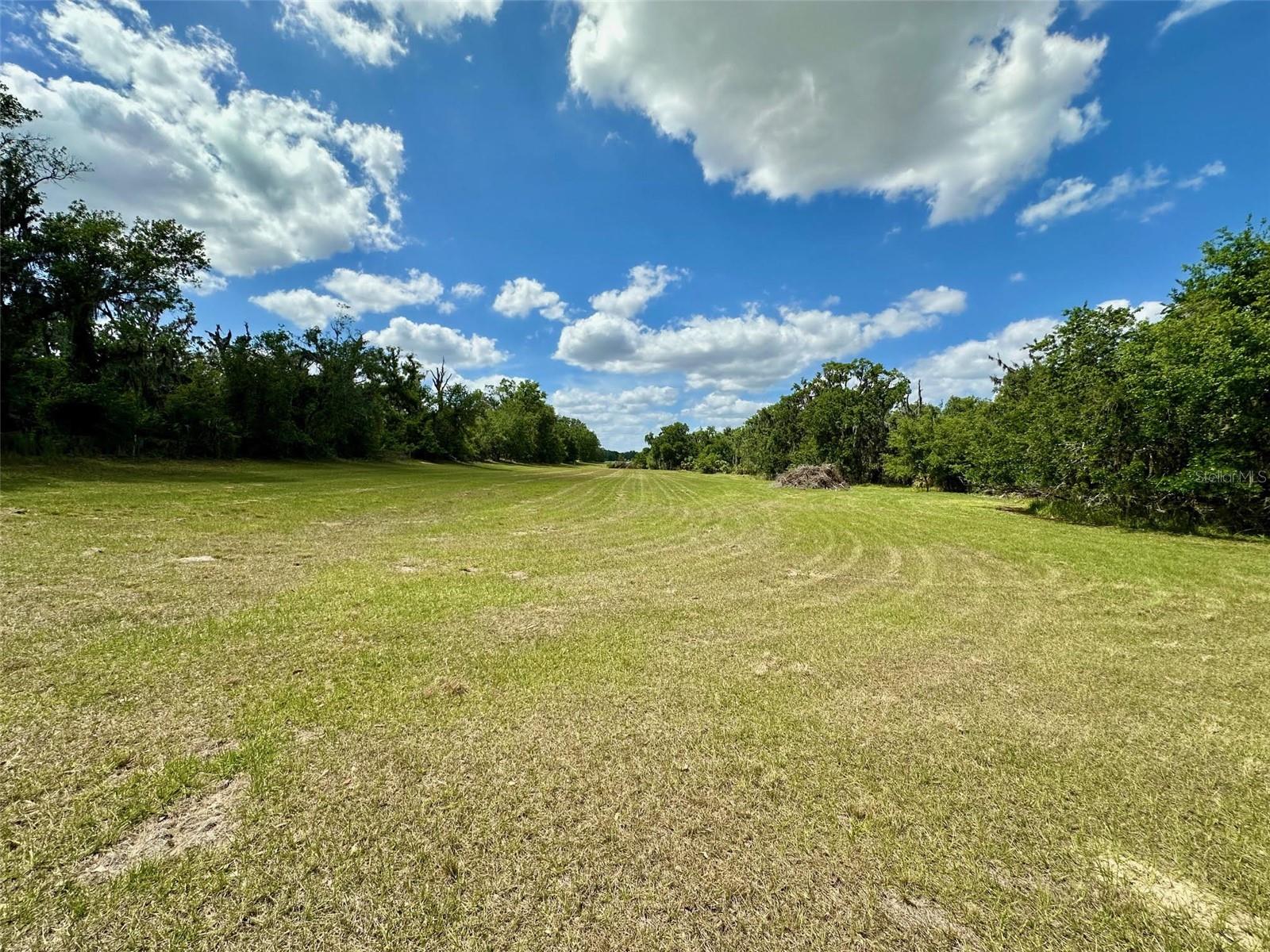 117 ALAFIA ESTATES LN, PLANT CITY, FL, 33567