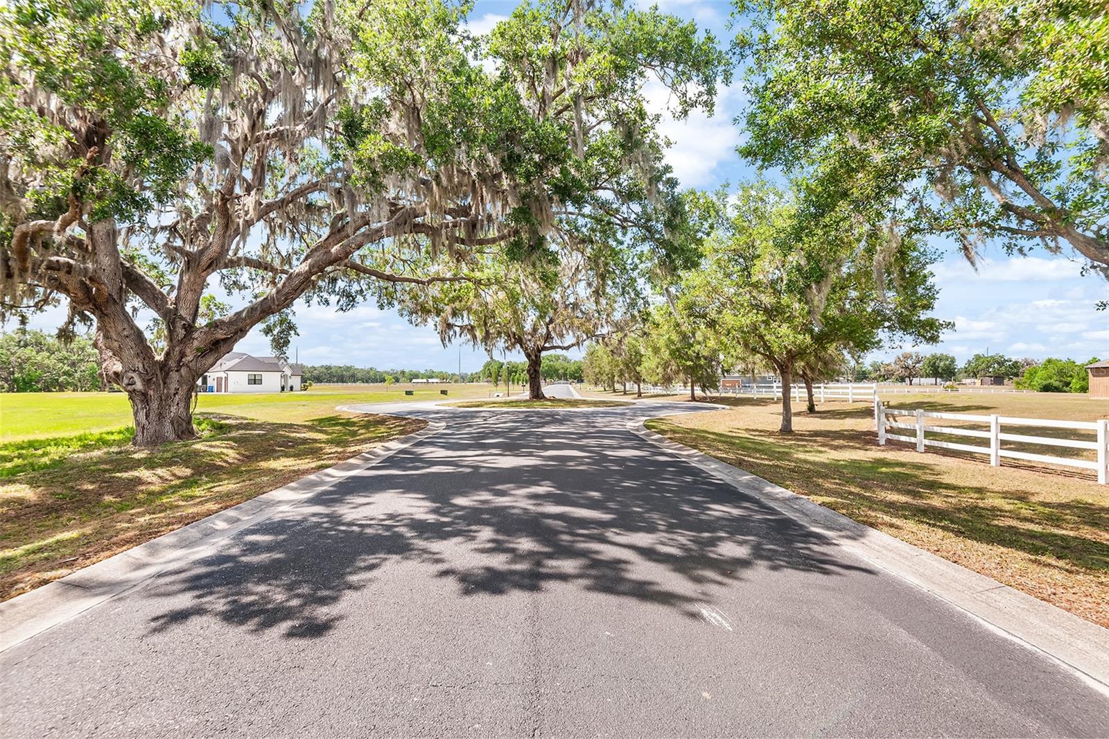 117 ALAFIA ESTATES LN, PLANT CITY, FL, 33567