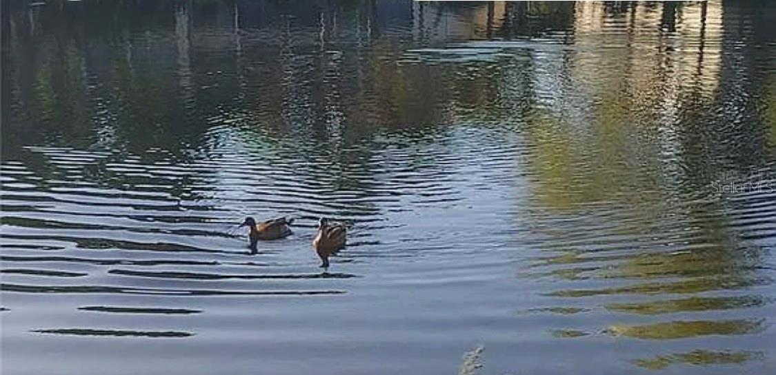 6101 34TH ST W #32H, BRADENTON, FL, 34210