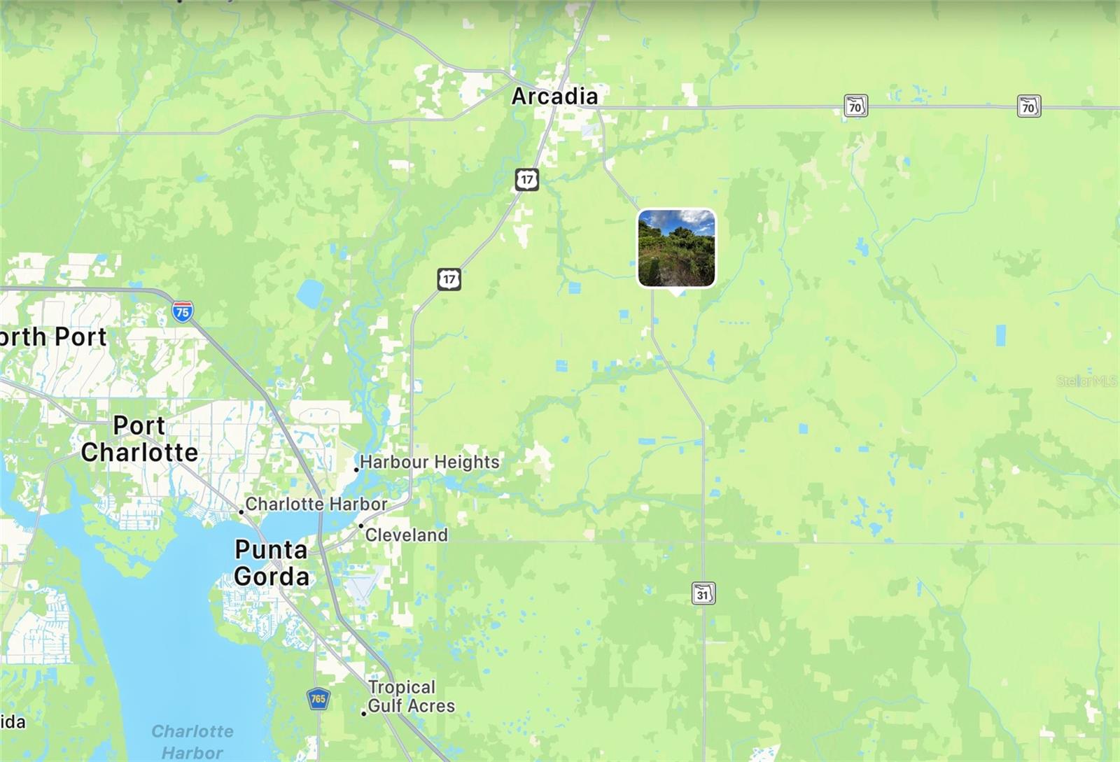 6095 SE PINE ISLAND RD, ARCADIA, FL, 34266