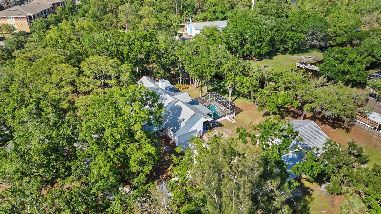 8303 DOUBLE BRANCH RD, TAMPA, FL, 33635