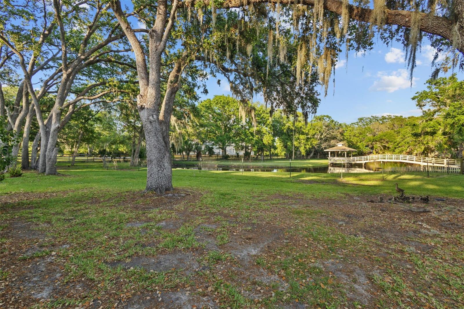 8303 DOUBLE BRANCH RD, TAMPA, FL, 33635