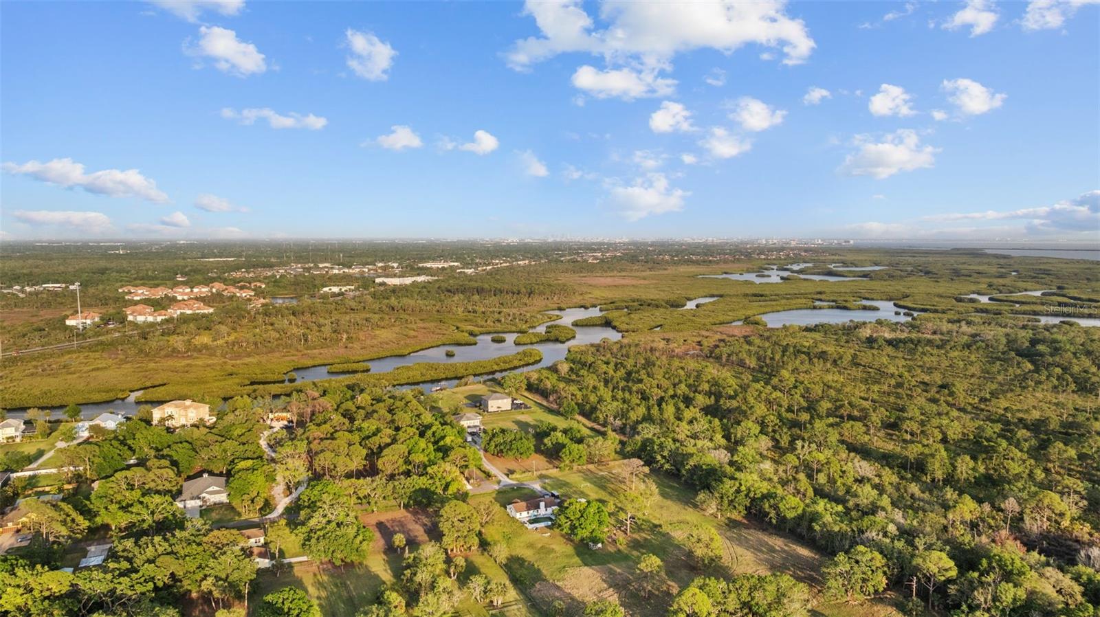 8303 DOUBLE BRANCH RD, TAMPA, FL, 33635