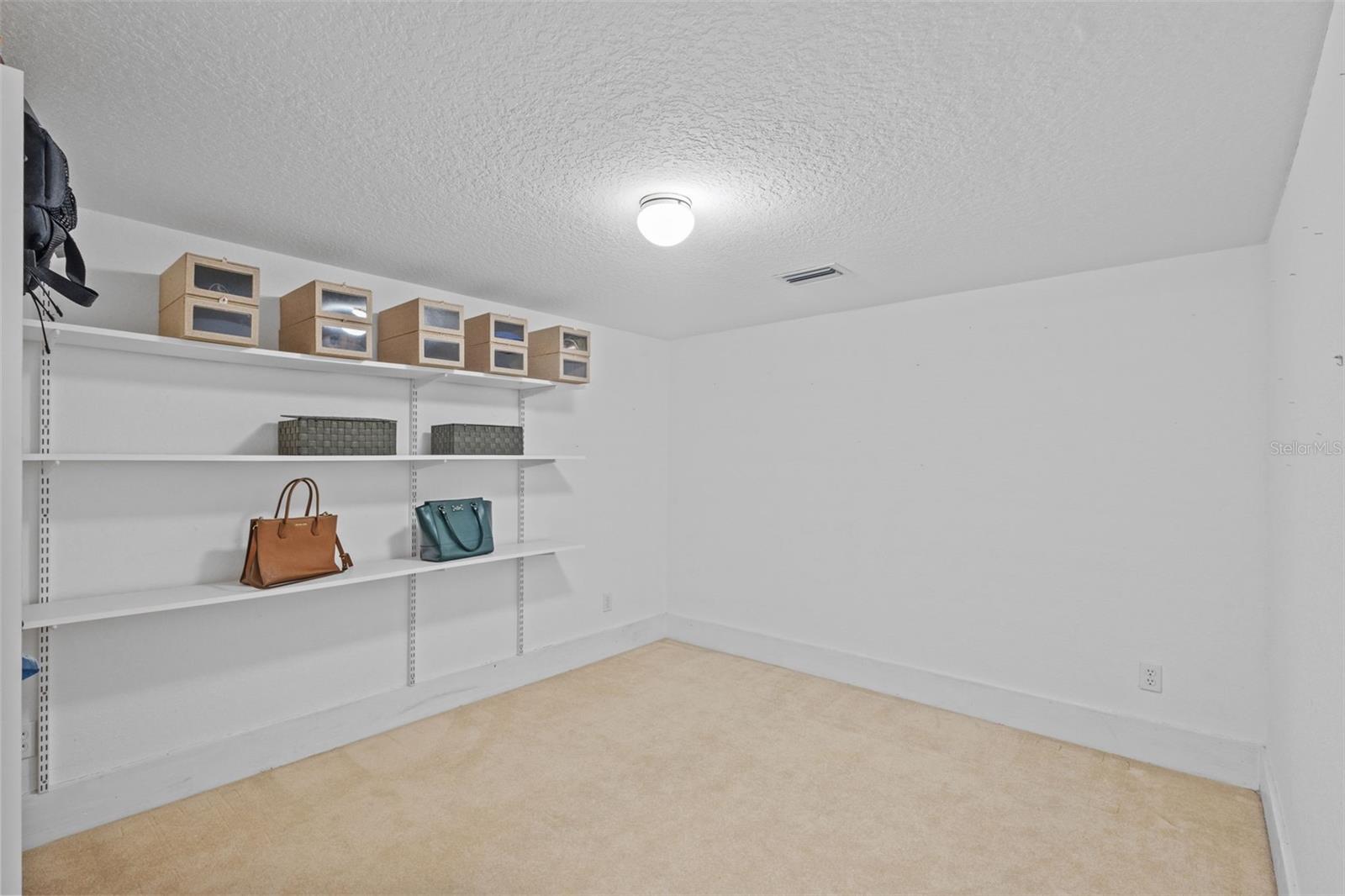 8303 DOUBLE BRANCH RD, TAMPA, FL, 33635