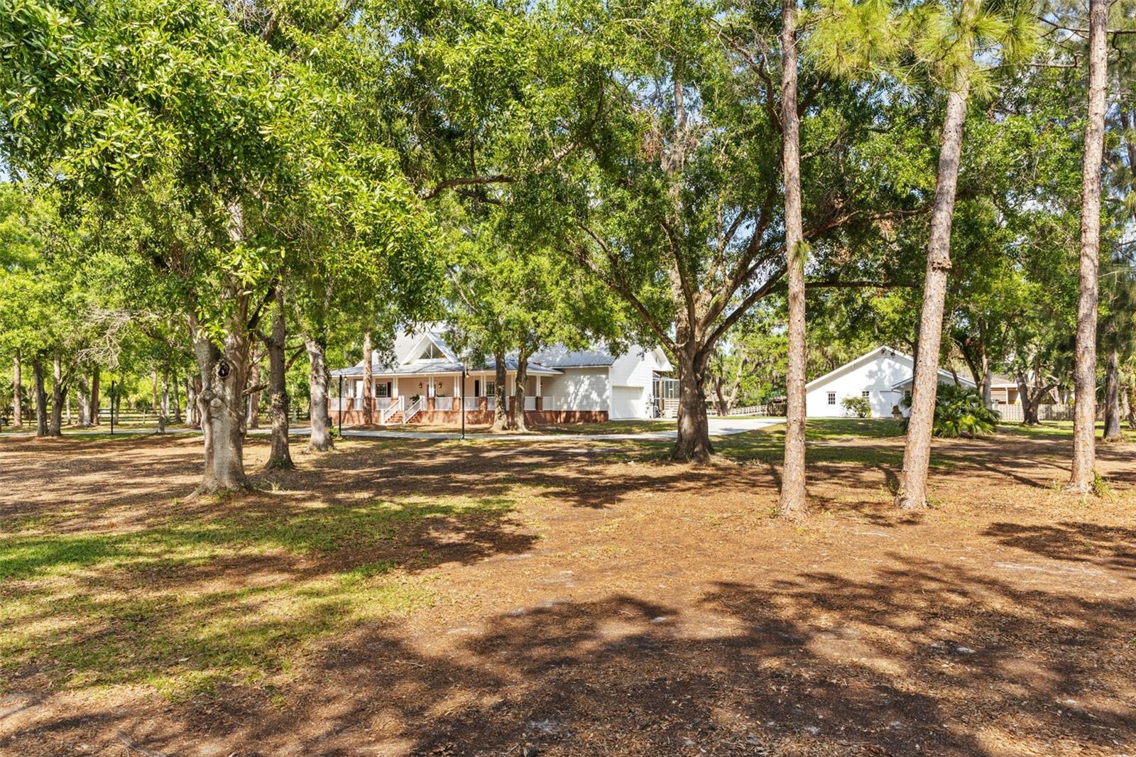 8303 DOUBLE BRANCH RD, TAMPA, FL, 33635