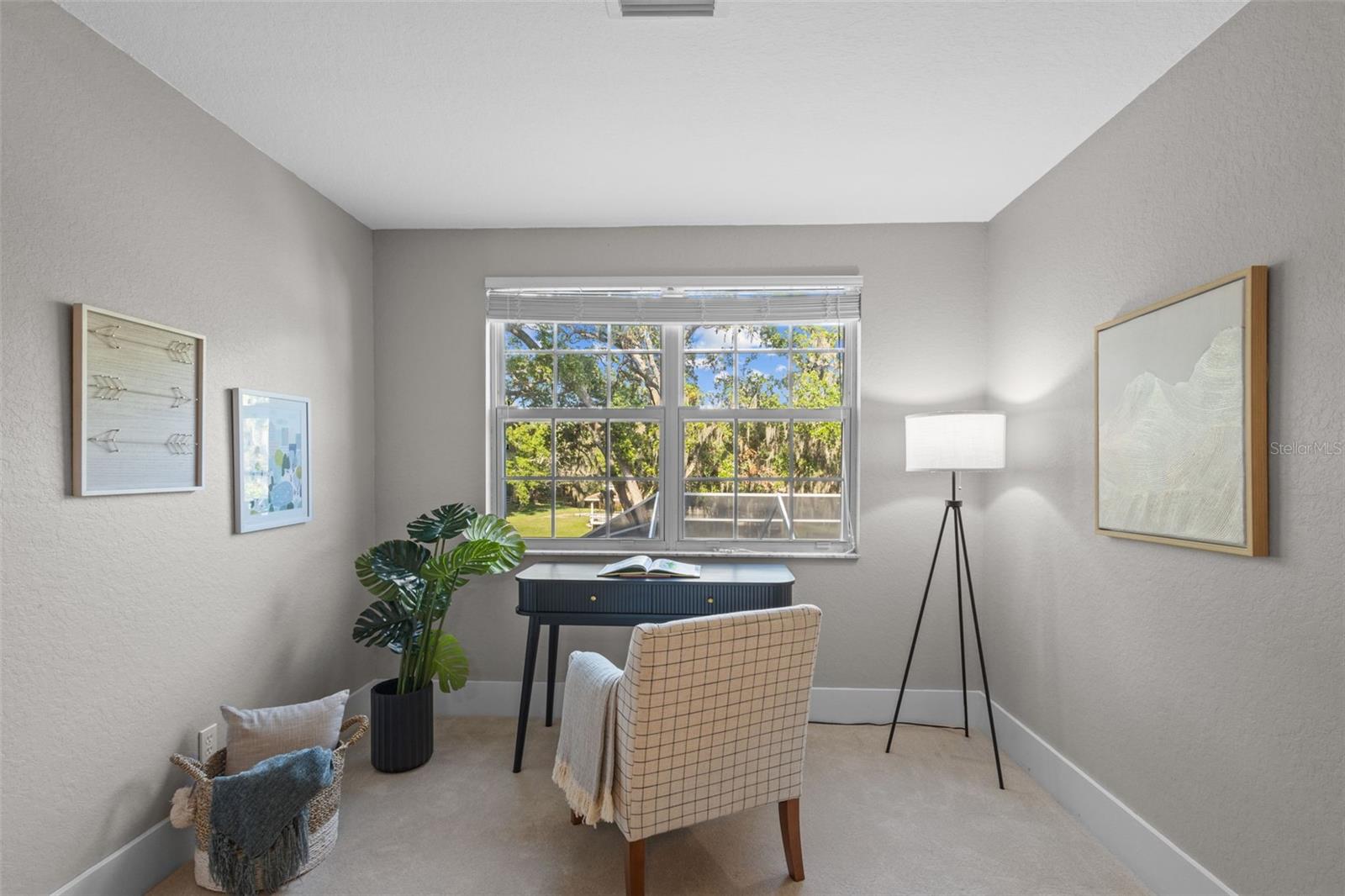 8303 DOUBLE BRANCH RD, TAMPA, FL, 33635