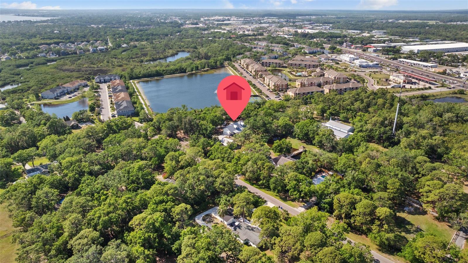8303 DOUBLE BRANCH RD, TAMPA, FL, 33635