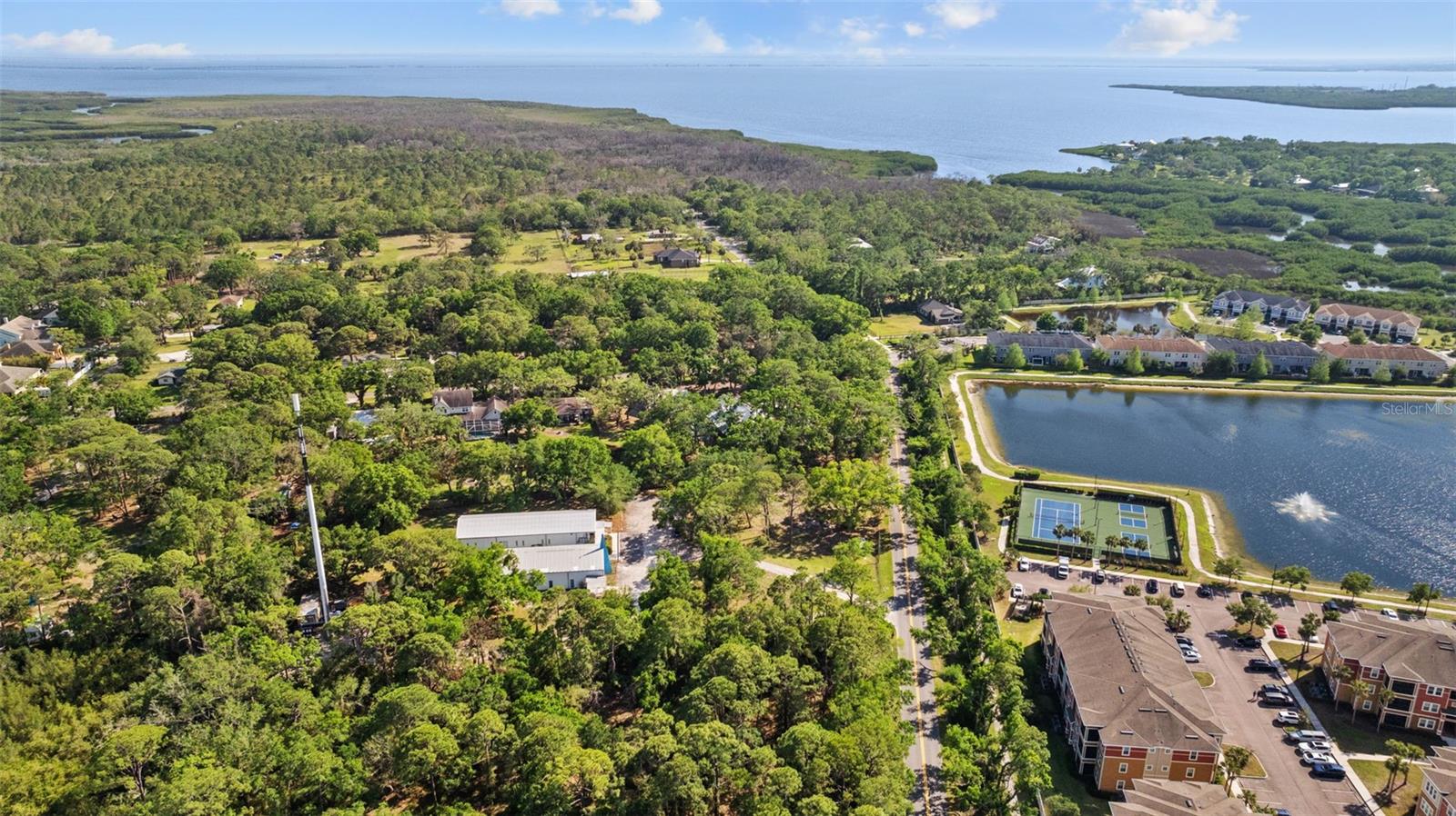 8303 DOUBLE BRANCH RD, TAMPA, FL, 33635