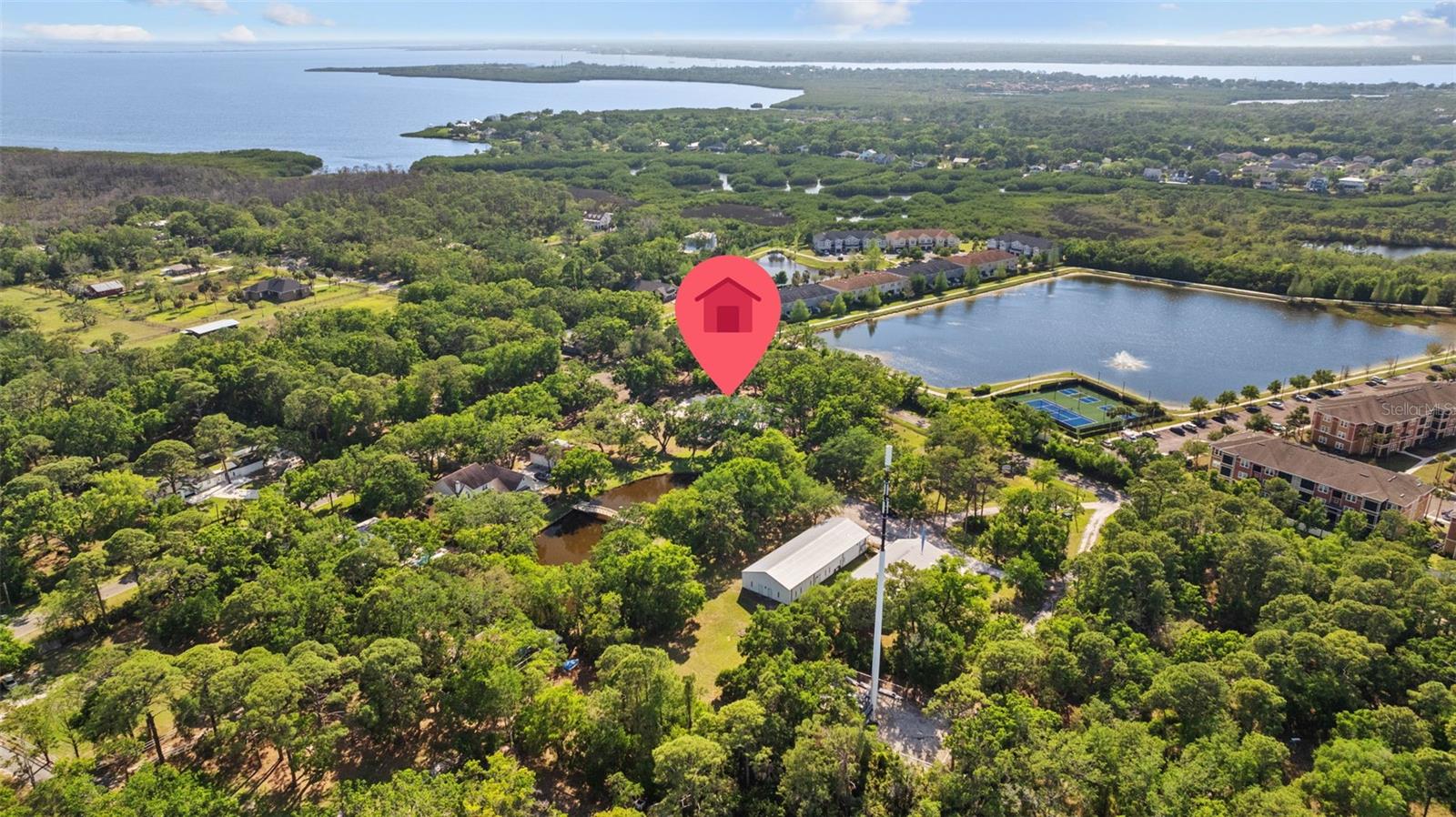 8303 DOUBLE BRANCH RD, TAMPA, FL, 33635