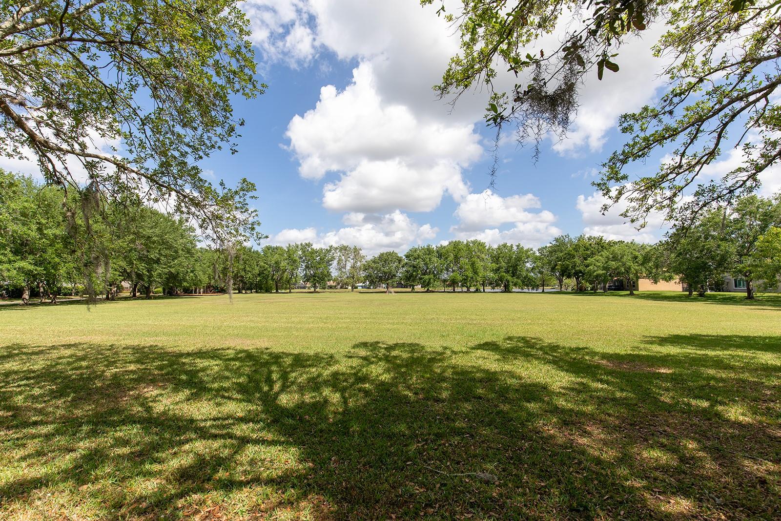 341 KIRKHILL ST, OCOEE, FL, 34761